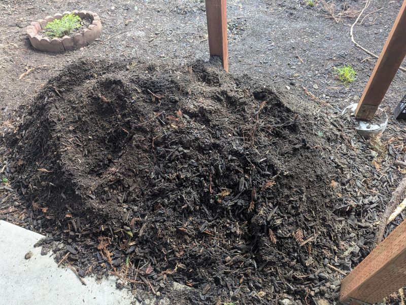 Forgetting To Remove Old Mulch