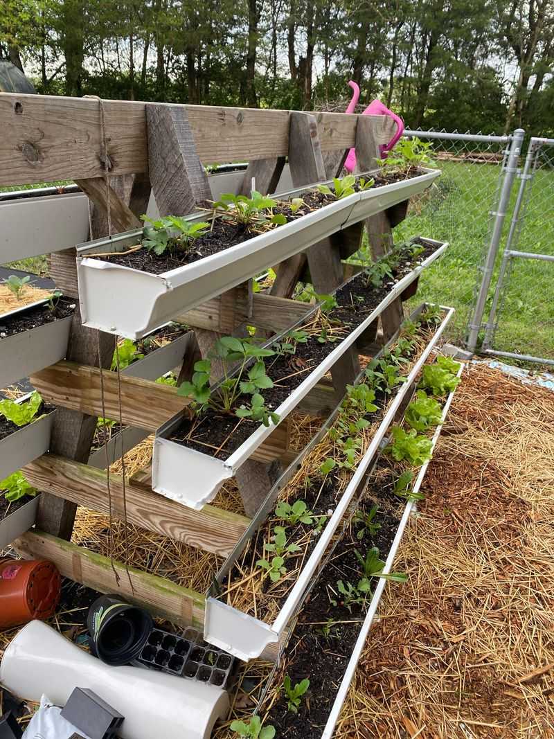 Repurposed Gutter Planters