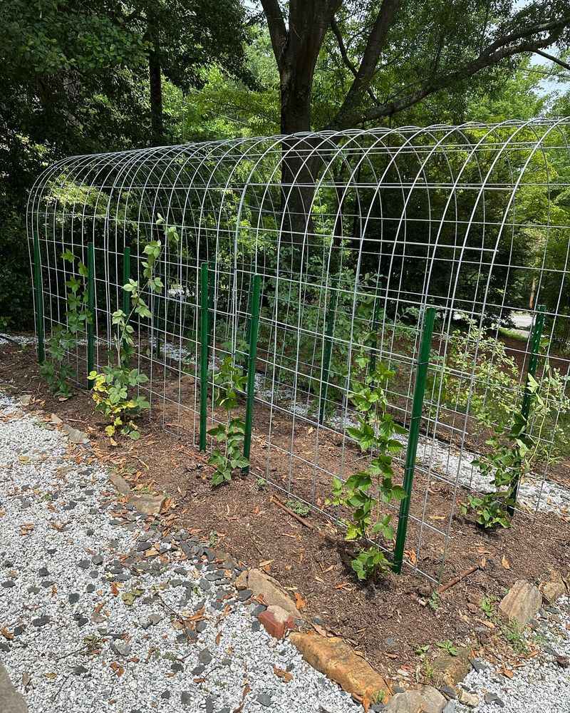 Document Your Garden Journey