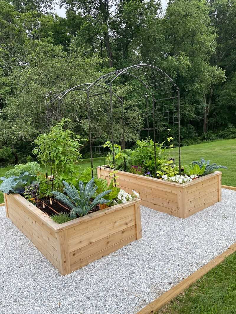 Build Raised Beds With Cedar Boards