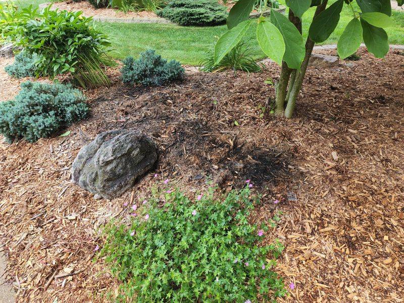 Use Cedar Mulch