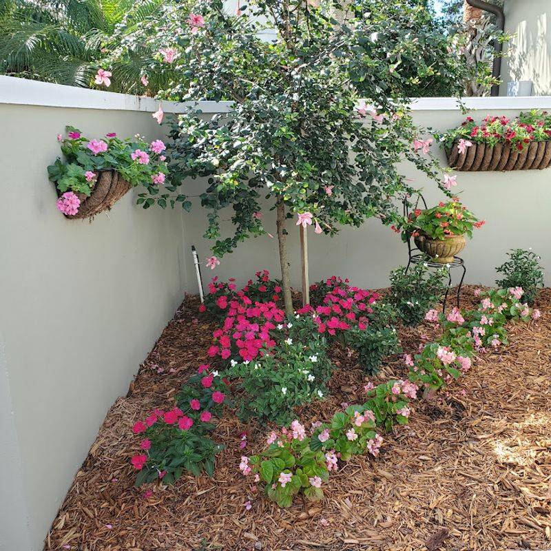 Prune Selectively In Summer