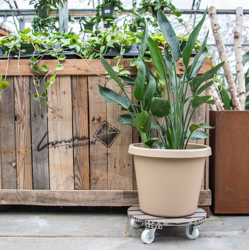 Rolling Plant Cart