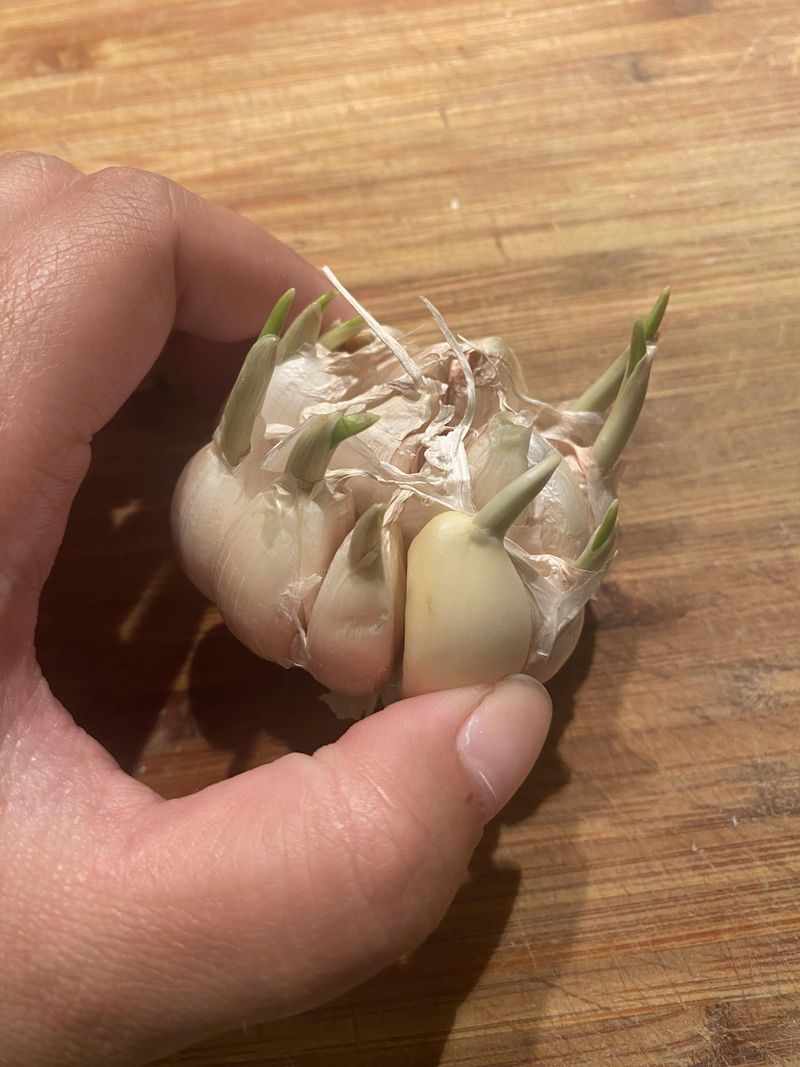 Break Bulbs Carefully