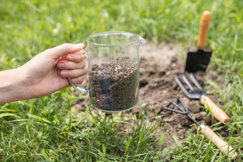 Ignoring Soil PH Requirements