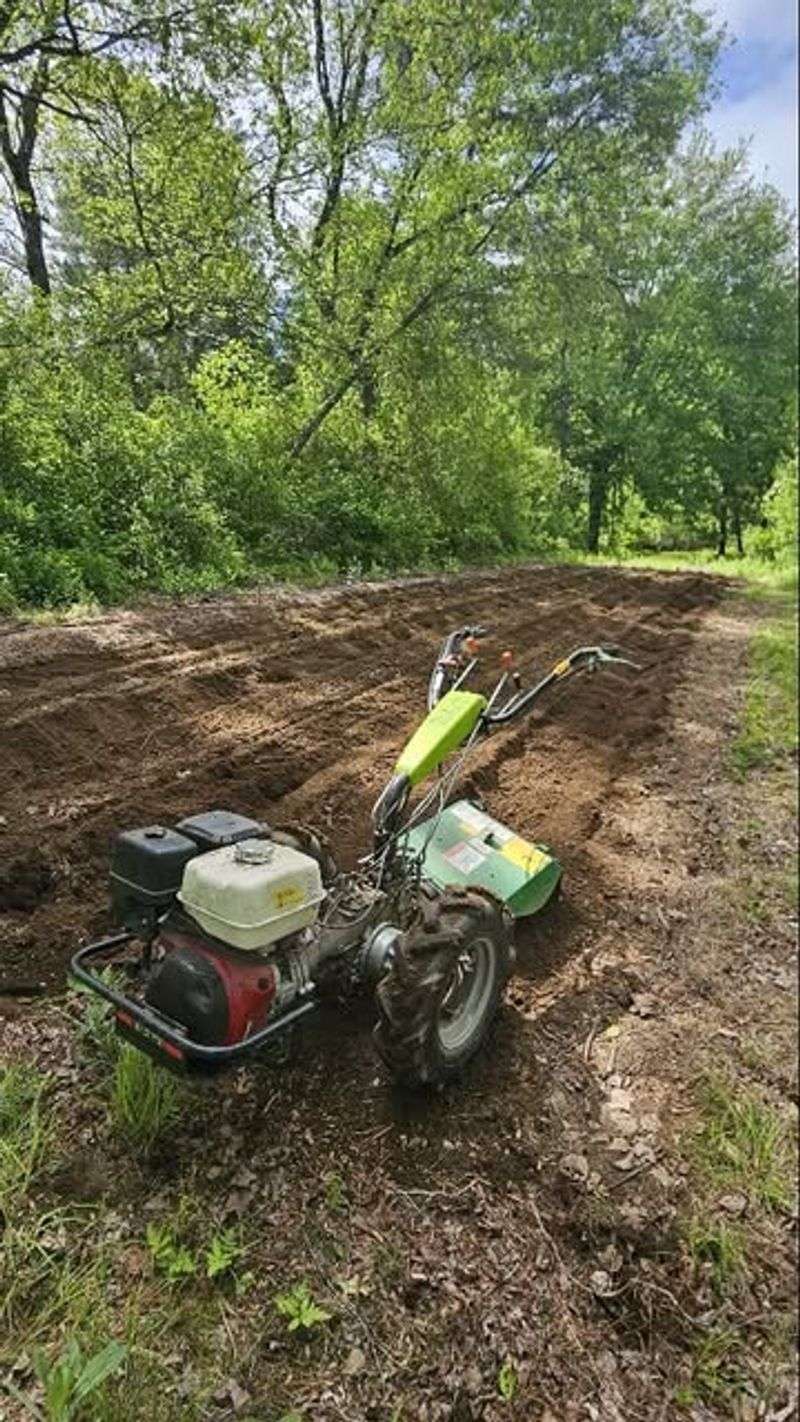 Poor Soil Preparation