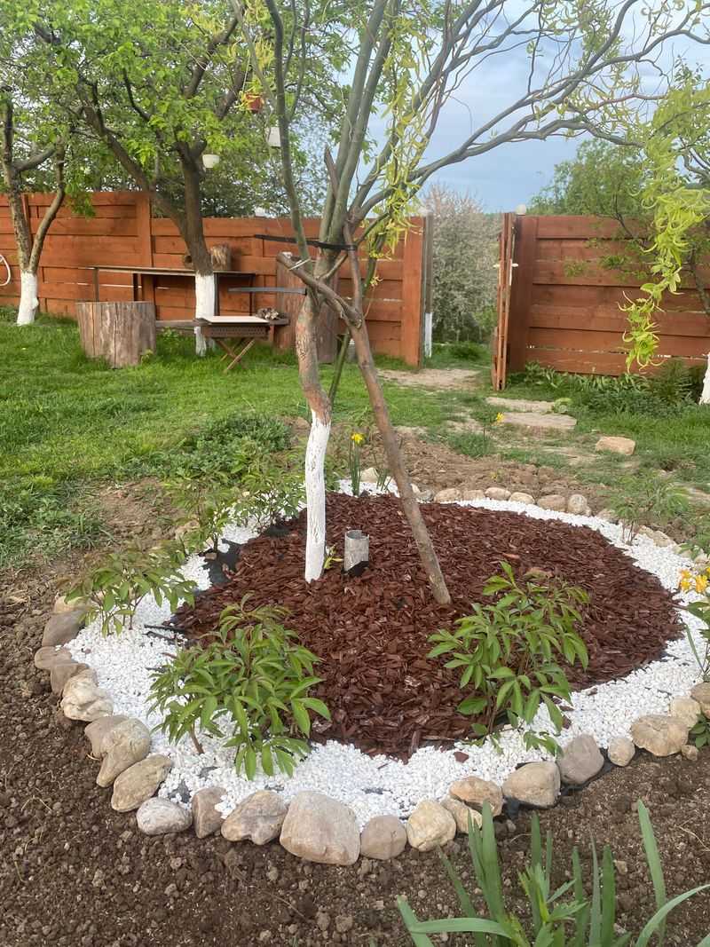 Insufficient Mulching Layers
