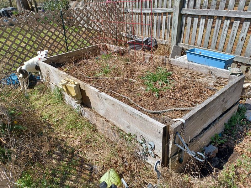 Building Raised Beds With Untreated Wood (Mistake)