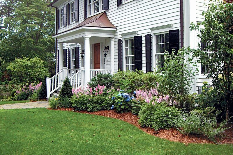 Single-Species Foundation Plantings
