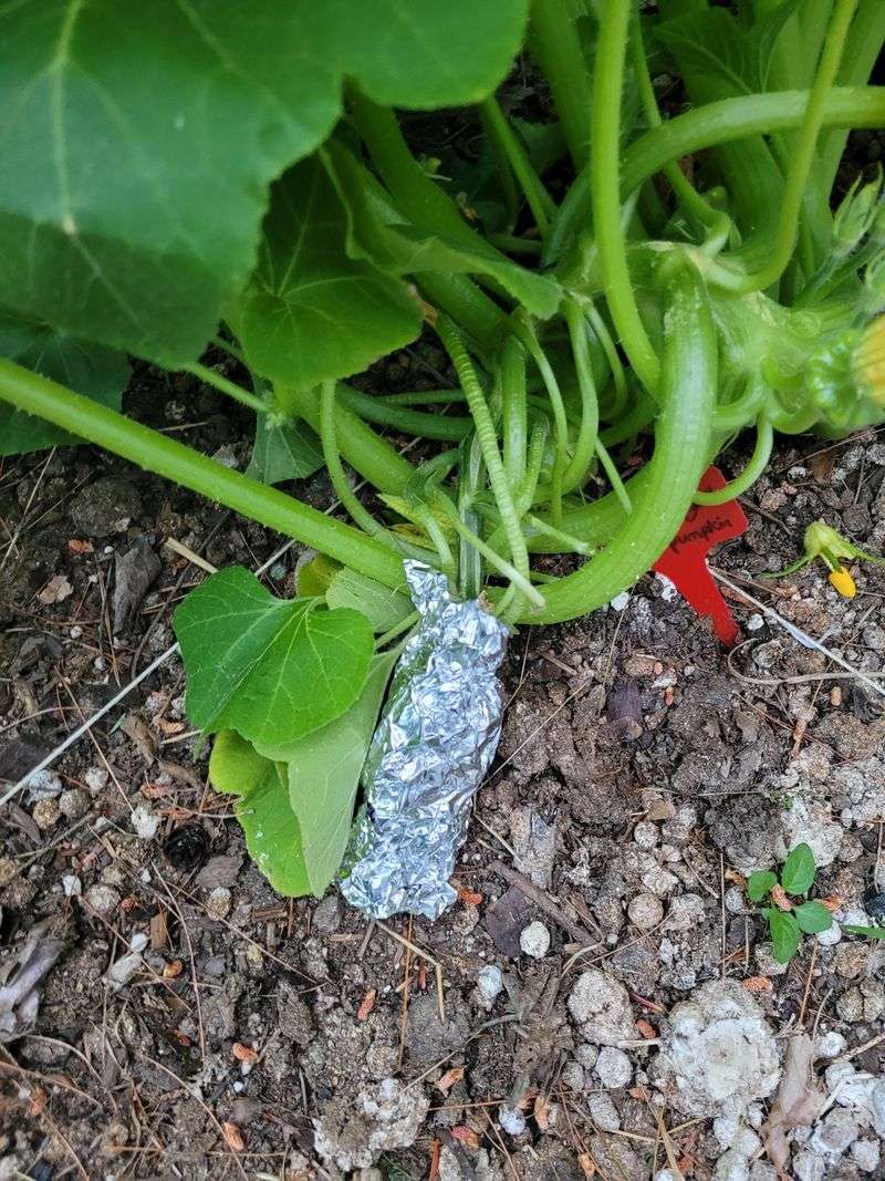 Aluminum Foil Surface