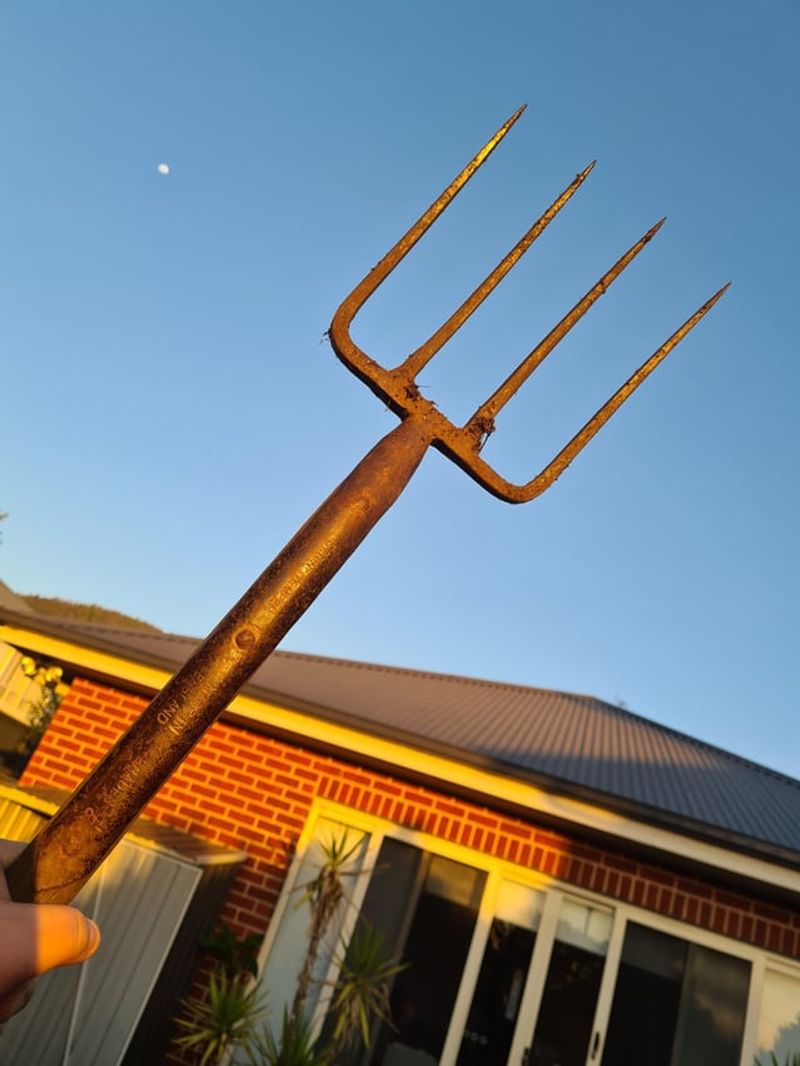 Standard Garden Fork