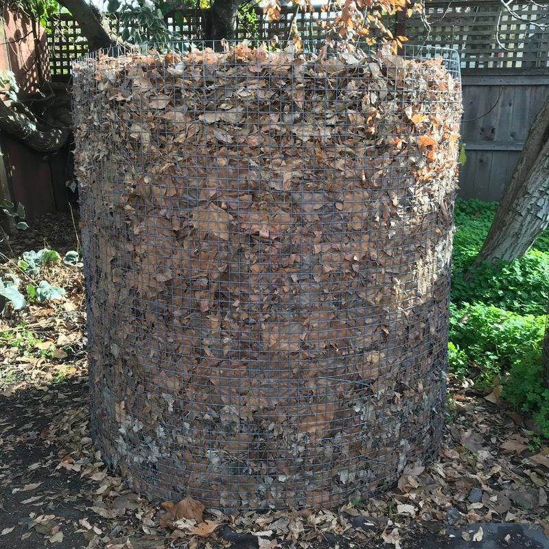 Wire Mesh Cylinder