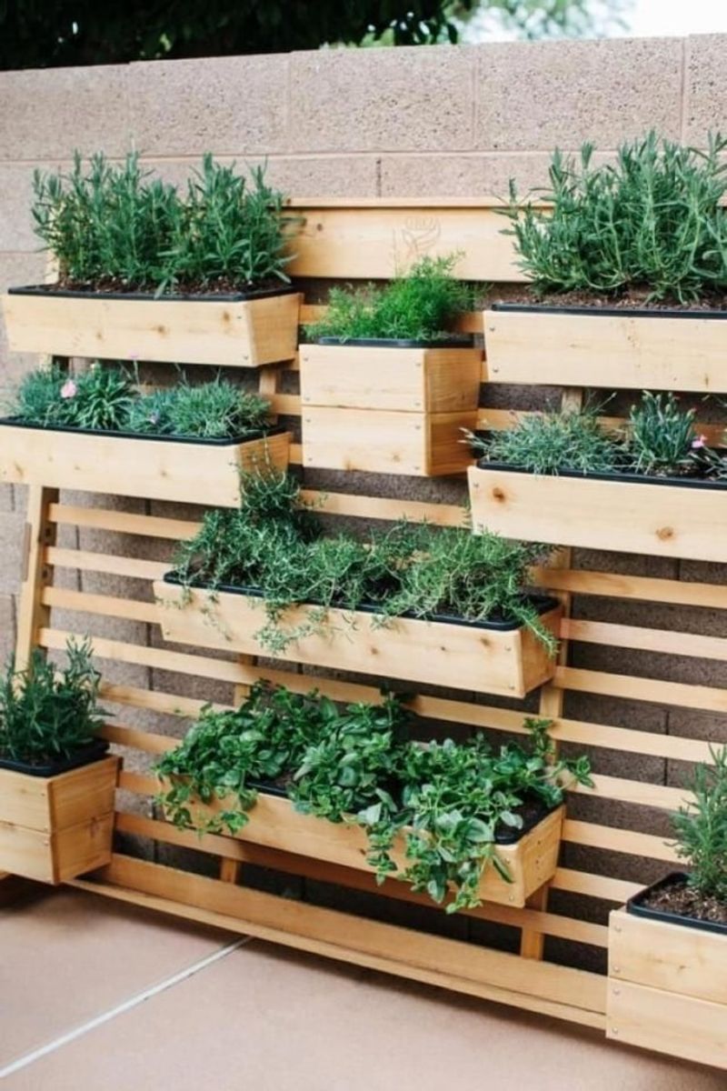 Vertical Growing Walls
