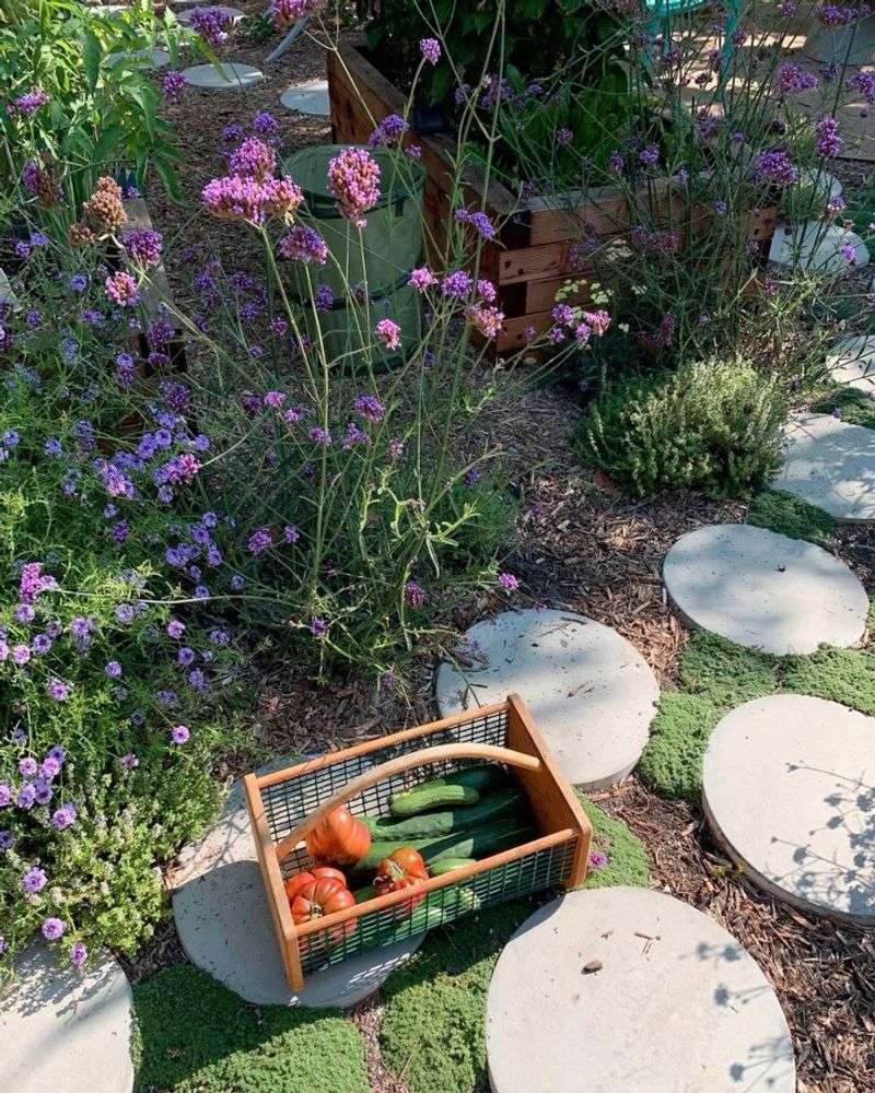 Edible Landscaping