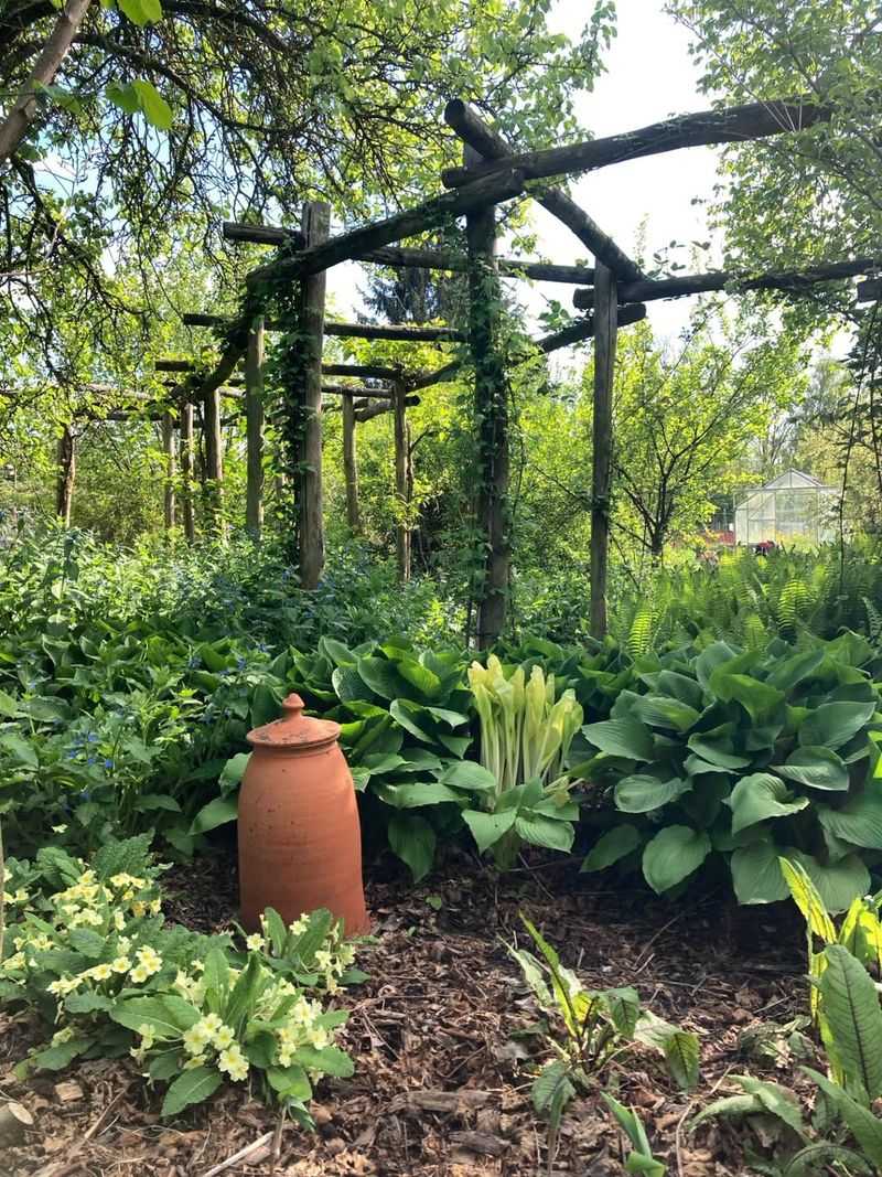 Edible Forest Gardens