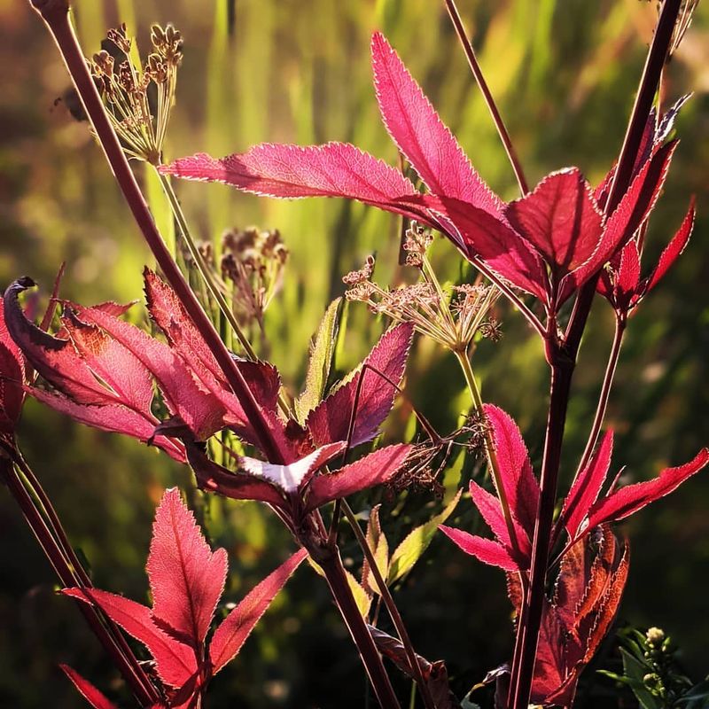 Ignoring Seasonal Interest