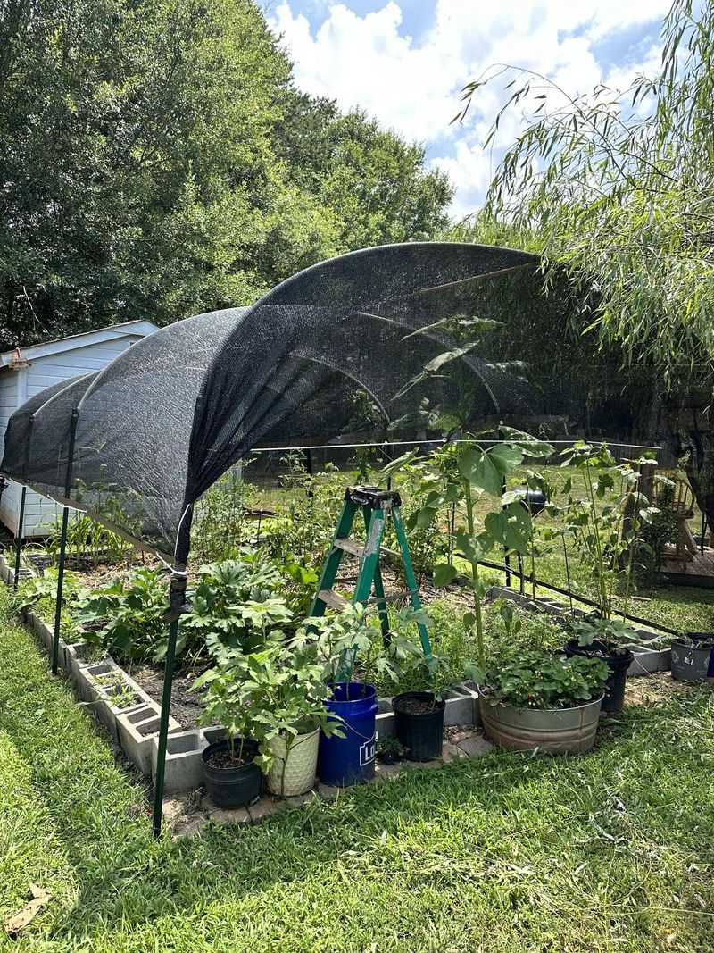 Vegetable Tunnels
