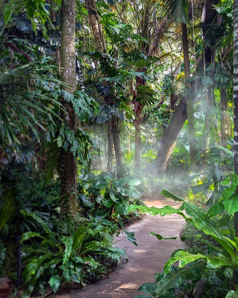Fairchild Tropical Botanic Garden, Florida