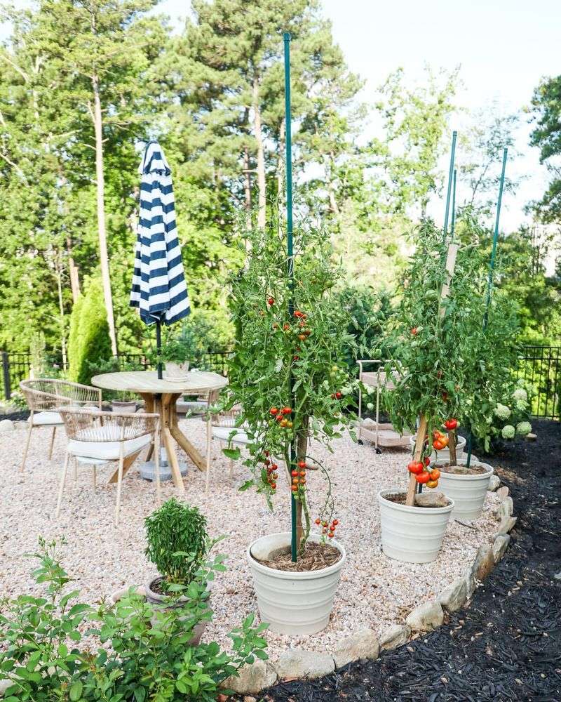 Move Potted Plants