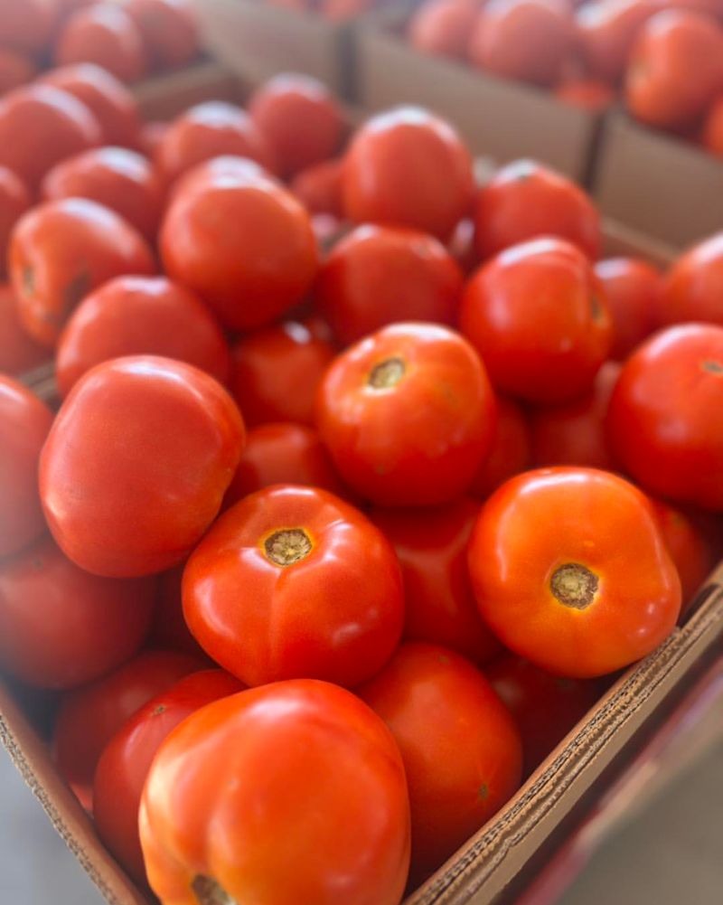 Cherry Tomatoes: The Self-Seeding Snack