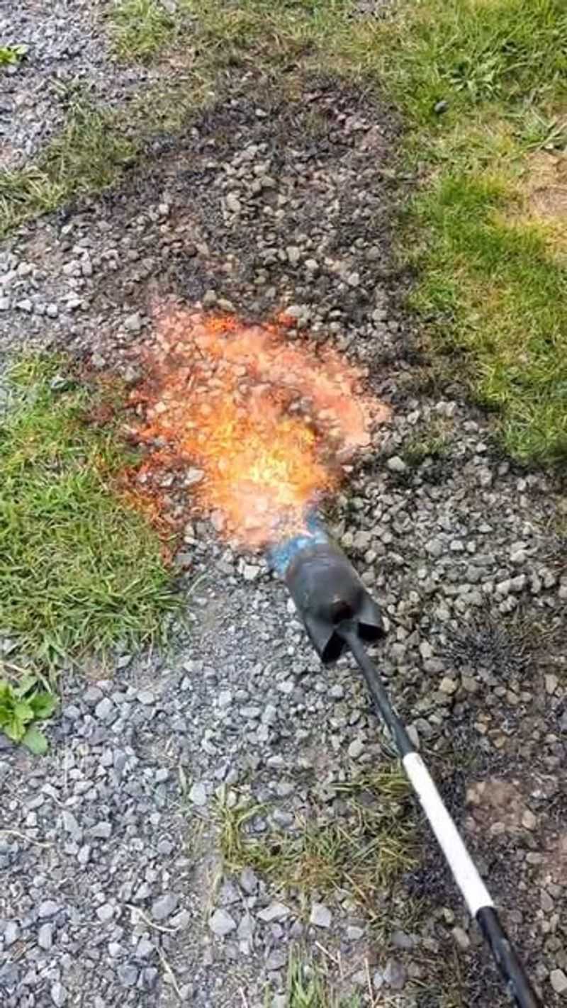 Invest In Weed Torching