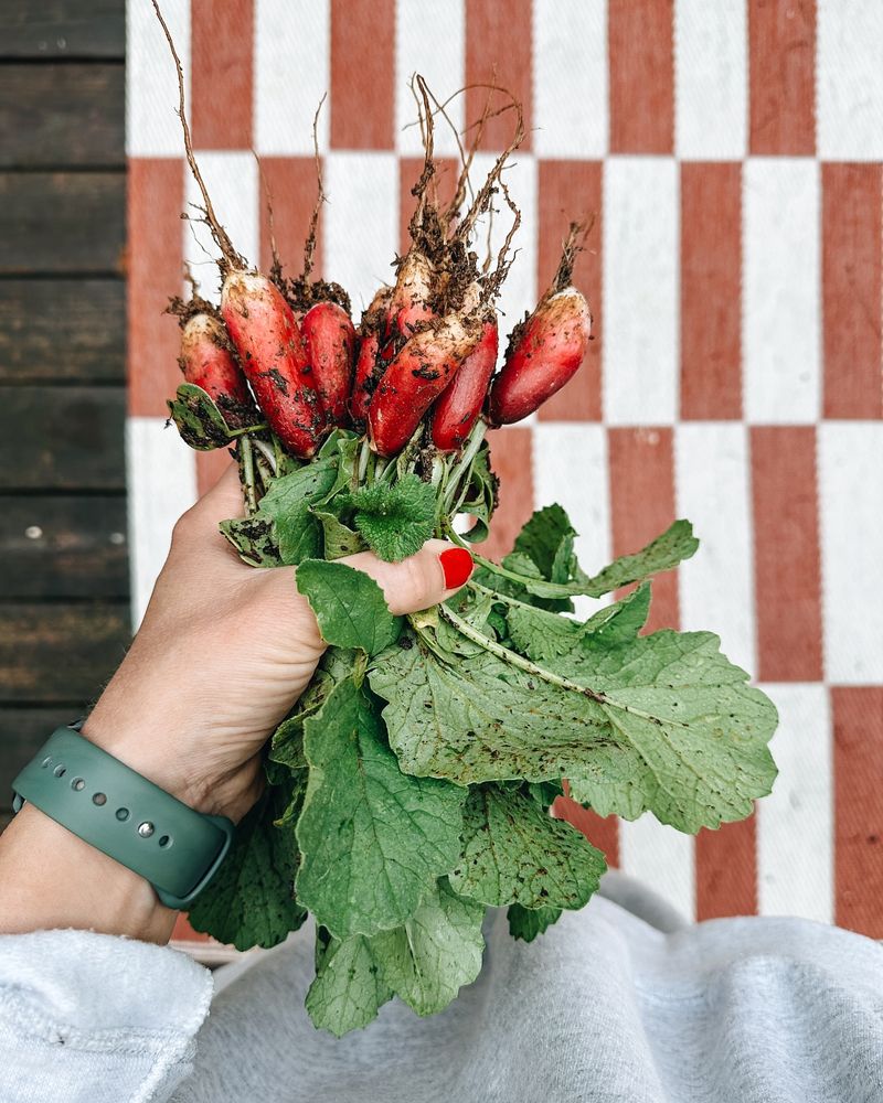 Rinse Garden Harvests