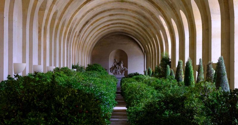 Orangery's Exotic Treasures