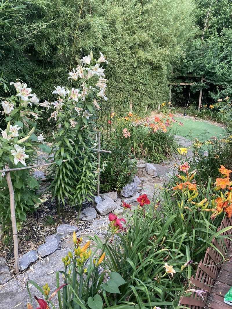 Border Placement
