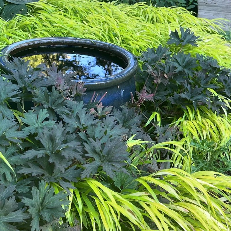 Space Plants Properly
