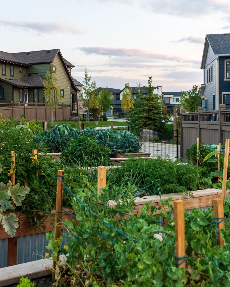 Join a Gardening Community