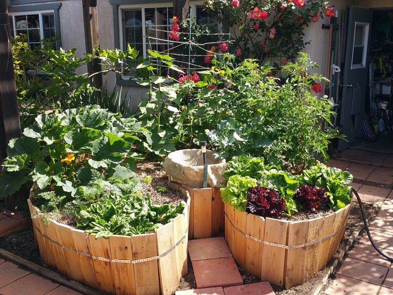 Rotate Crops Seasonally