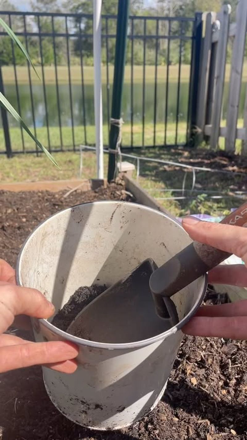 Deep Planting Technique