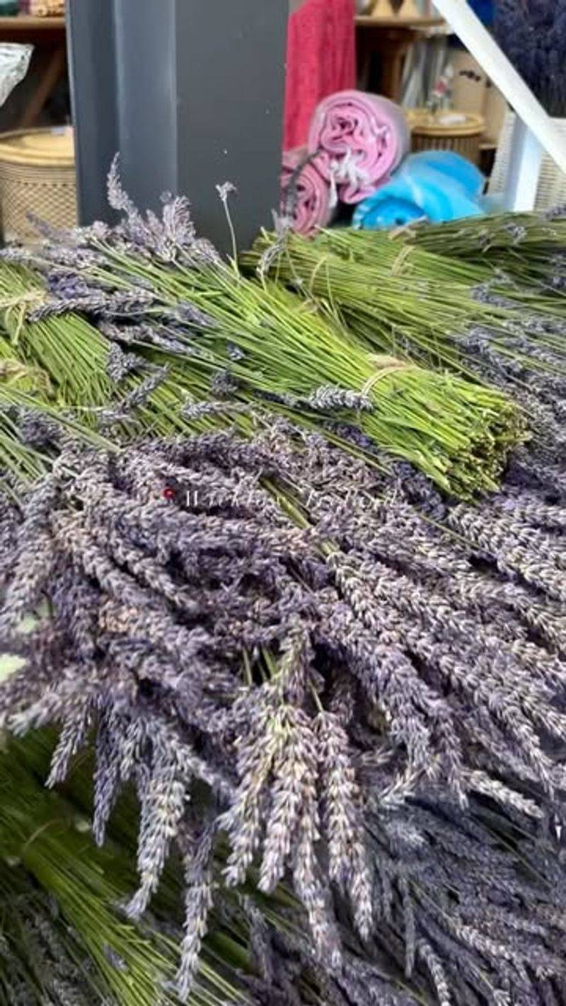 Natural Cleaning