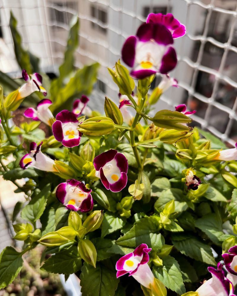 Manage Pests Naturally