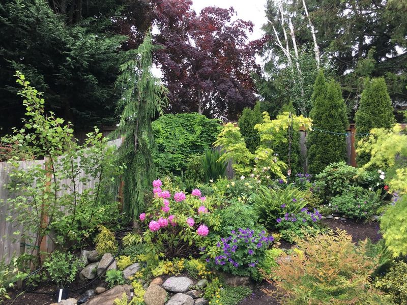 Quiet Garden Areas