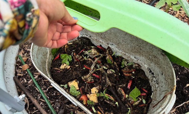 Composting and Debris Rules