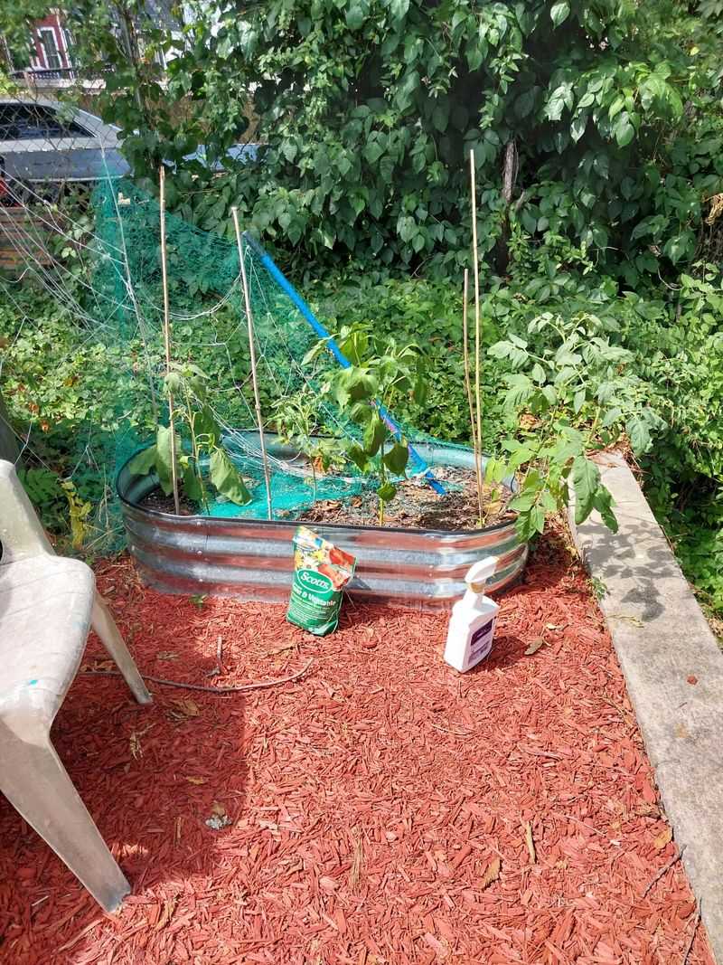 Avoid Disturbing Soil