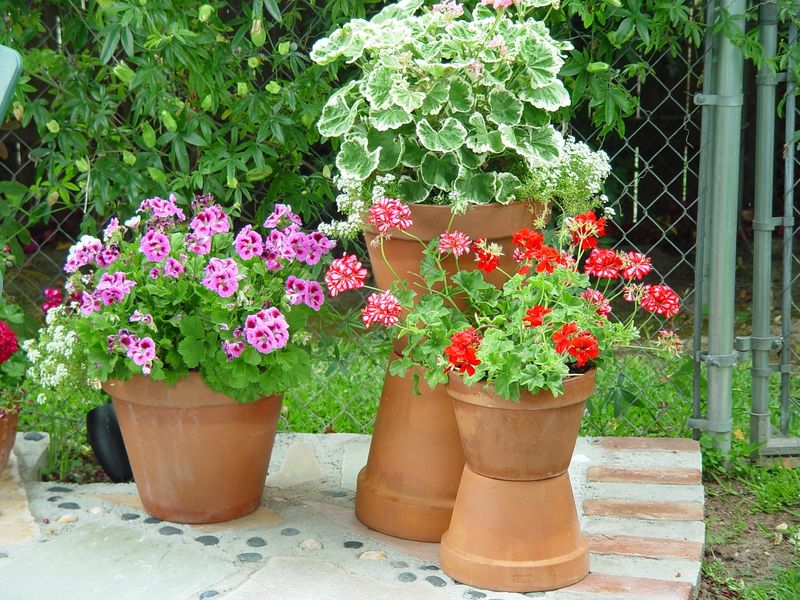 Water-Soluble Fertilizers For Quick Results