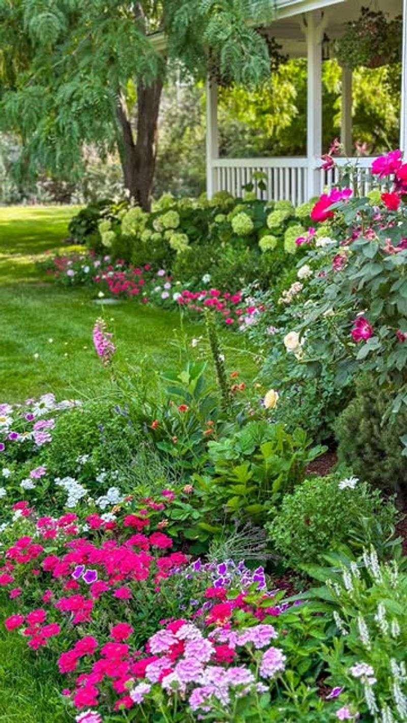 Apply Mulch Protection Layer