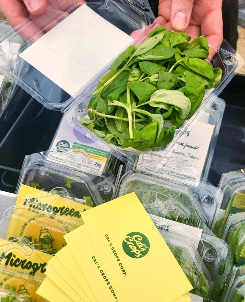 Rapini: The Leafy Rebel