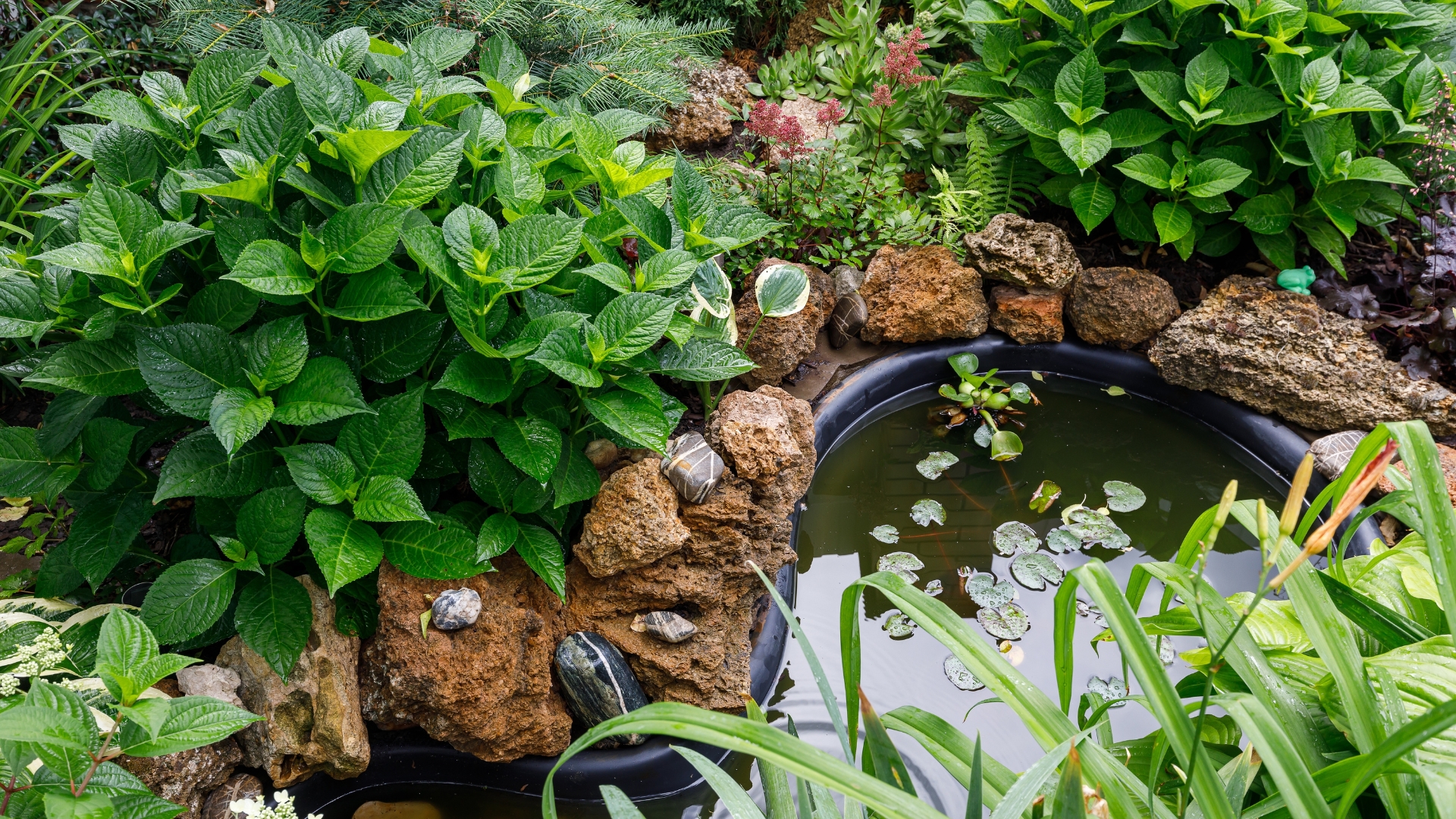 Quick Fixes That Make Your Garden Look Like You Hired A Landscaper