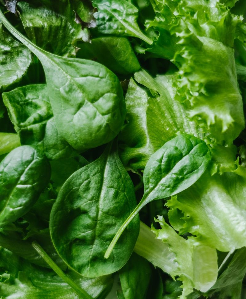 Spinach
