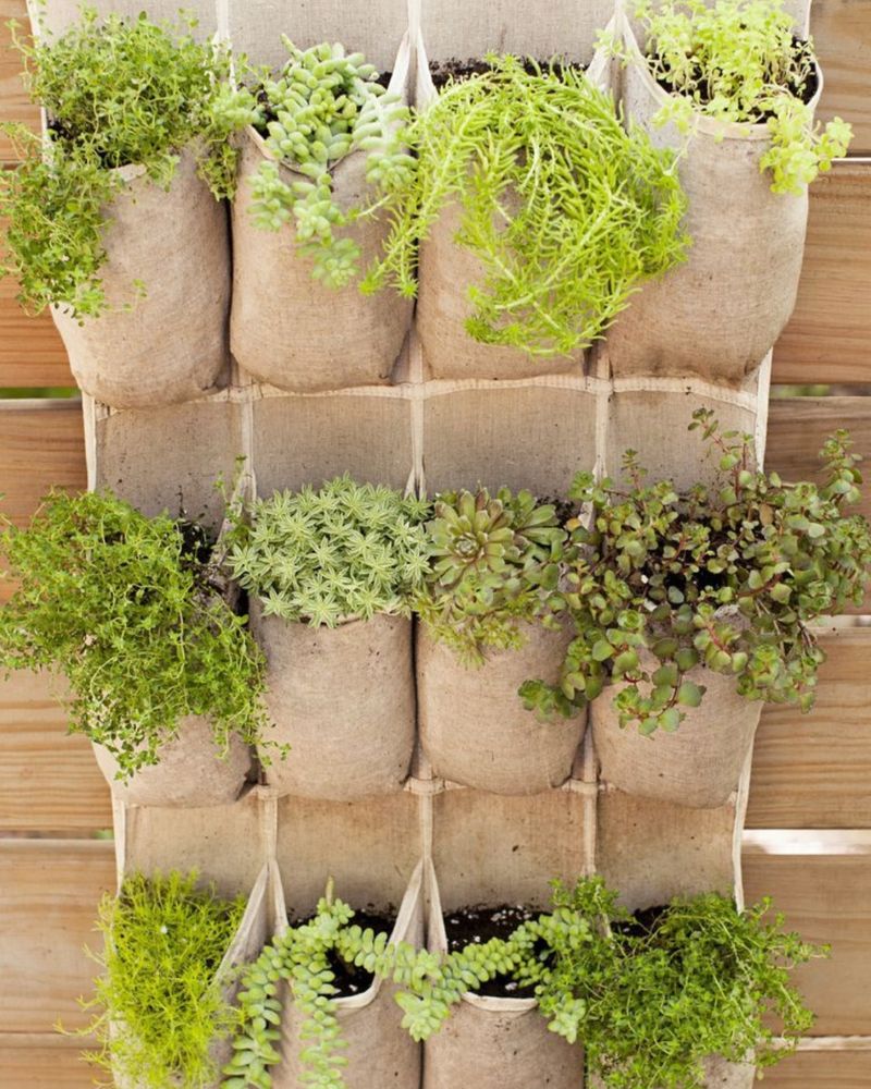 Repurposed Shoe Organizer