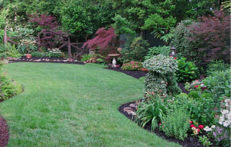 Excessive Lawn Space