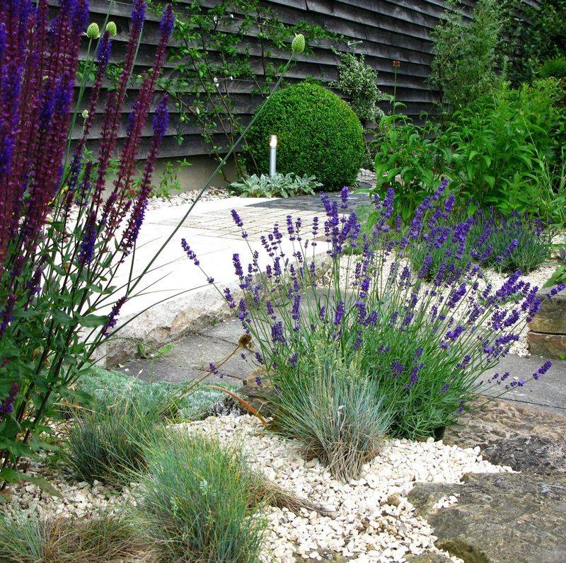 Decorative Gravel With Drought-Tolerant Plants