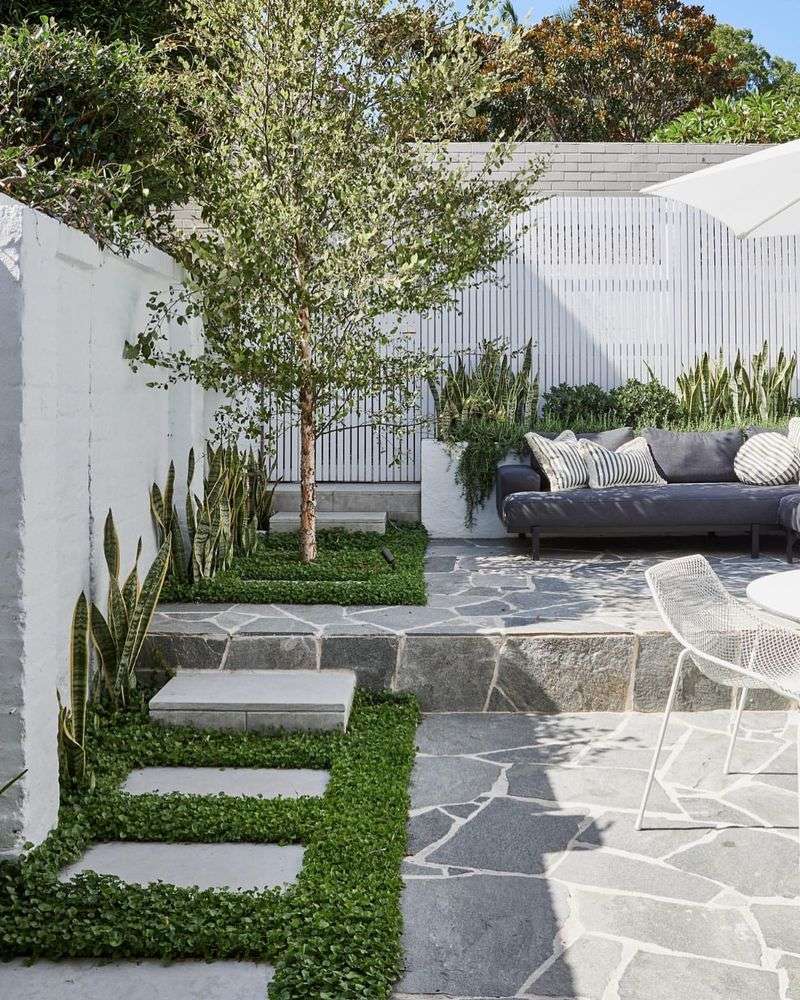 Textural Contrast Garden