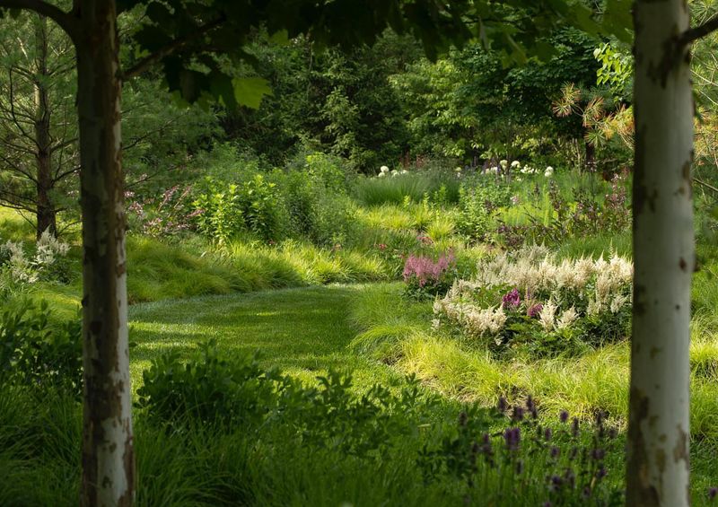 Woodland Edge Gardens