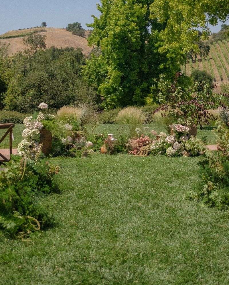 Wind-Dancing Ornamental Grasses