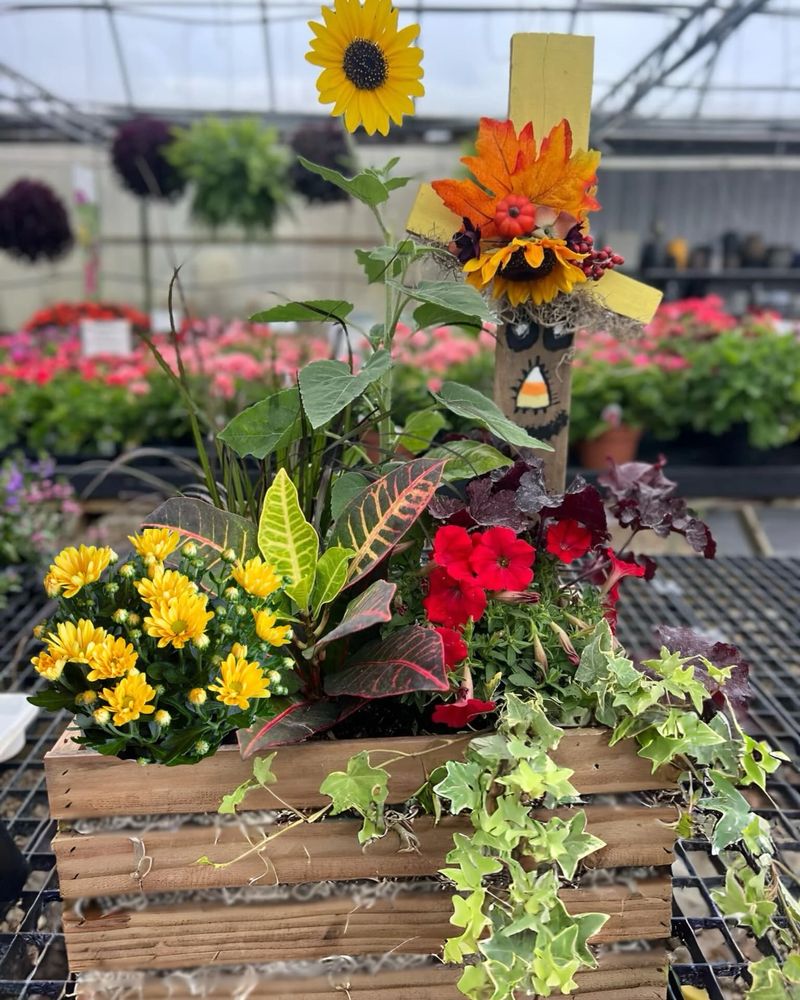 Hanging Basket Organizer