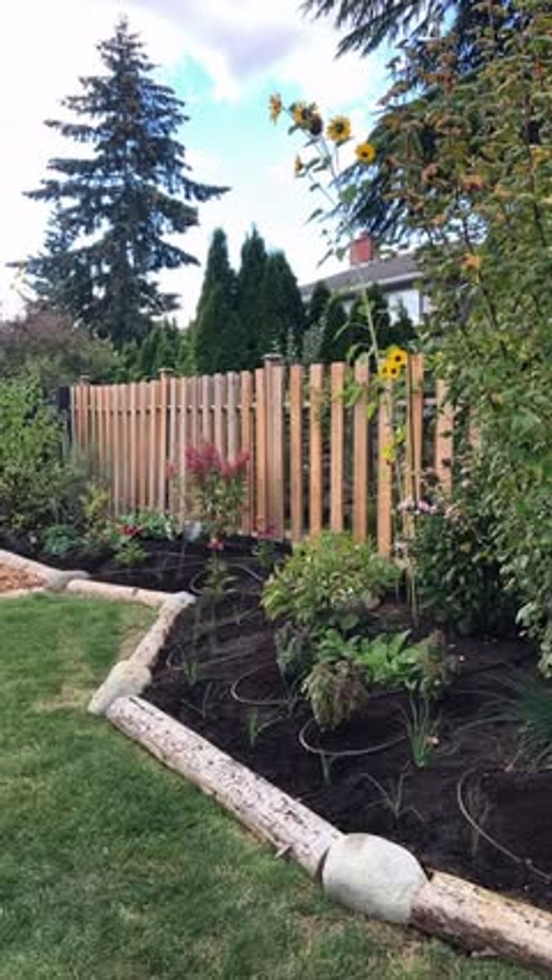 Edible Privacy Borders